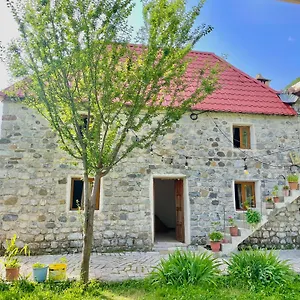 https://guesthouse-gjovalin-lokthi.albaniahotels.org